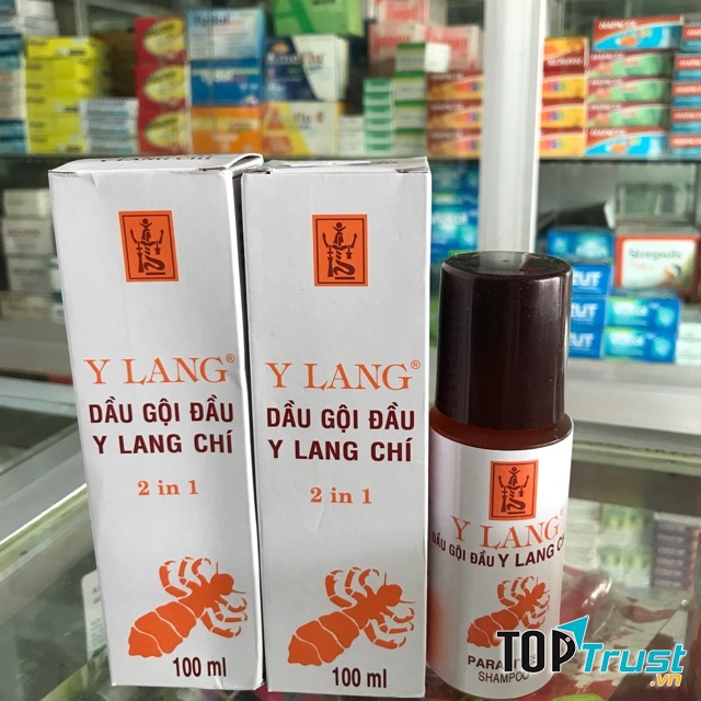 Dầu gội Y Lang tiêu diệt nhanh và hiệu quả các ký sinh trùng ngoài da như chí, rận,…