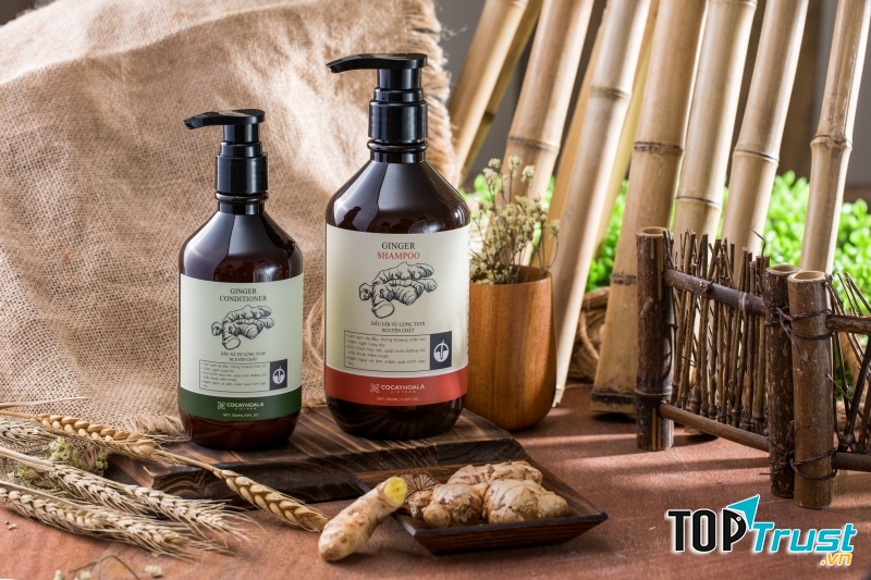 Dầu gội gừng COCAYHOALA ngăn rụng tóc, kích thích mọc tóc