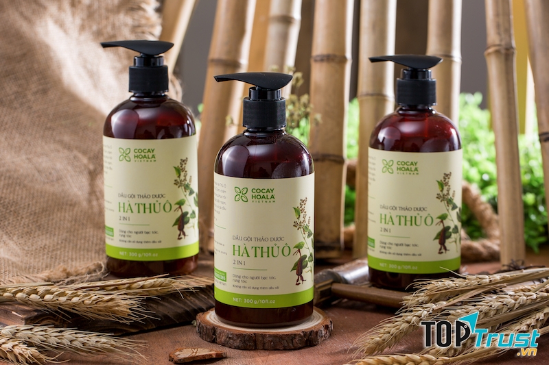 Dầu gội Hà Thủ Ô 2in1