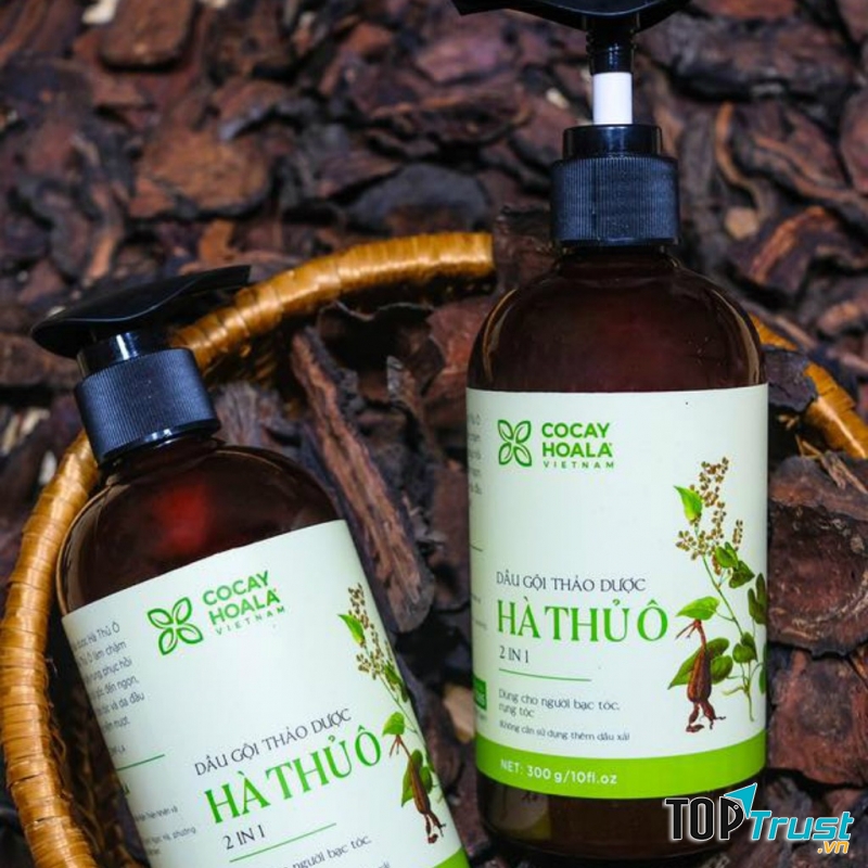 Dầu gội Hà Thủ Ô 2in1