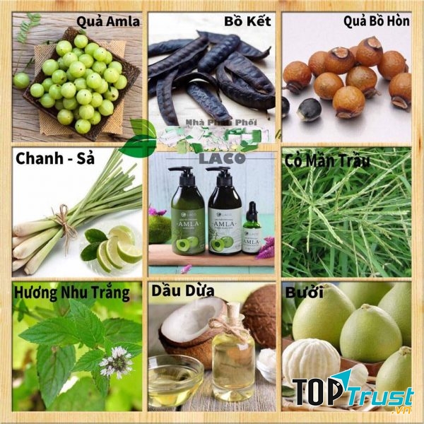 Dầu gội organic Amla