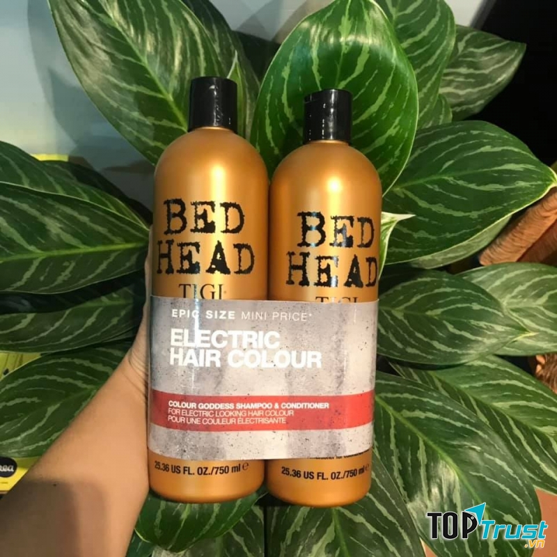 Cặp dầu gội TiGi nâu 750ml