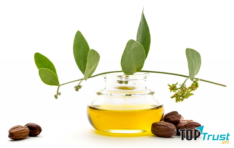 Thành phần tự nhiên, lành tính, giúp da mềm mượt căng bóng chỉ sau vài lần sử dụng.