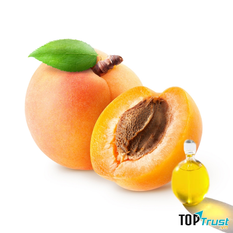 Dầu hạt mơ là loại dầu dưỡng phổ biến được rất nhiều người tin tưởng sử dụng.