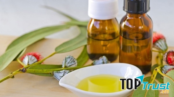 Tinh dầu khuynh diệp