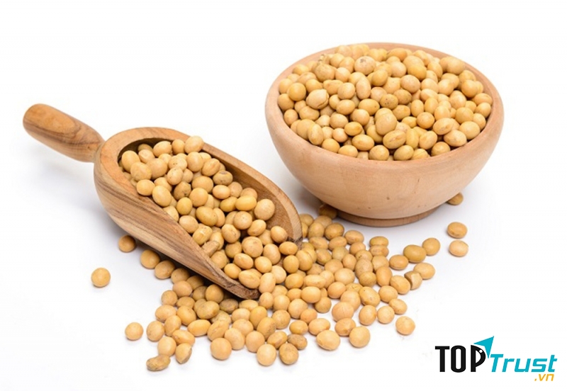 Đậu nành biến đổi gen (Nguồn: Internet)