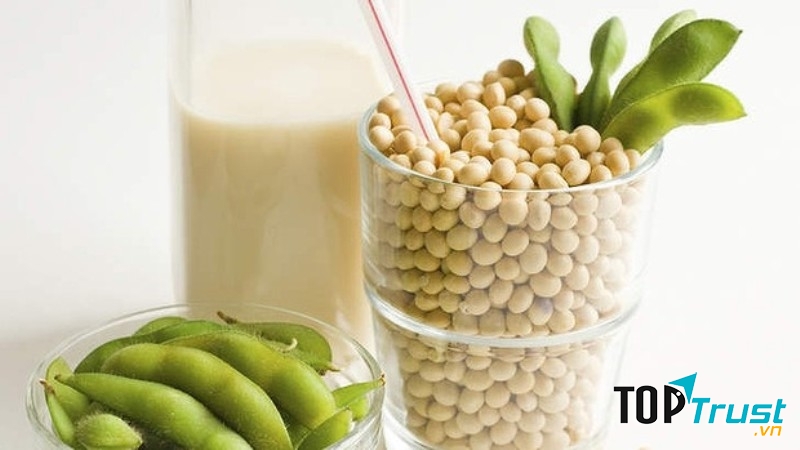 Đậu nành và chế phẩm từ đậu nành
