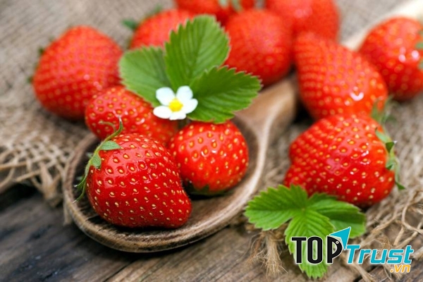 Dâu tây là một loại quả thần kỳ của công cuộc làm đẹp.