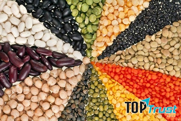 Đậu – thực phẩm ngừa loãng xương cực kỳ hiệu quả