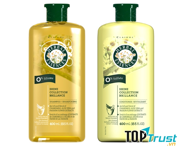 Chiết xuất Tinh dầu Argan từ Morocco