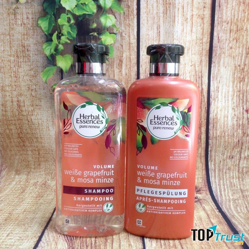 Chiết xuất thảo mộc và hương thảo