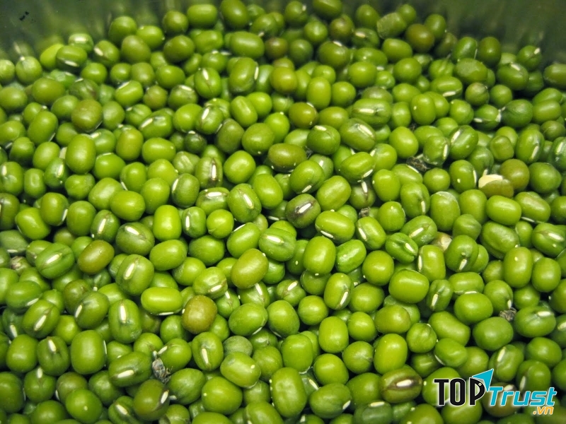 Đậu xanh được biết đến là loại thực phẩm có tác dụng thanh nhiệt giải độc rất hiệu quả. ﻿