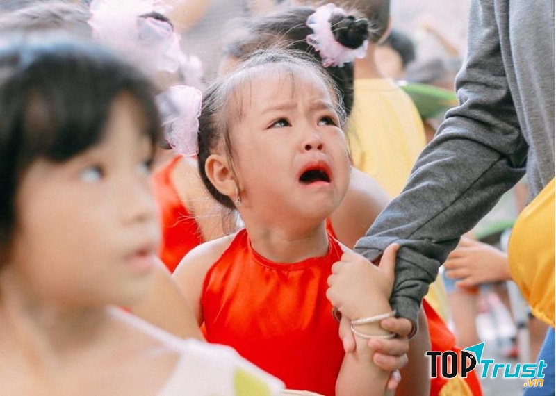 Ảnh minh họa (Nguồn Internet)