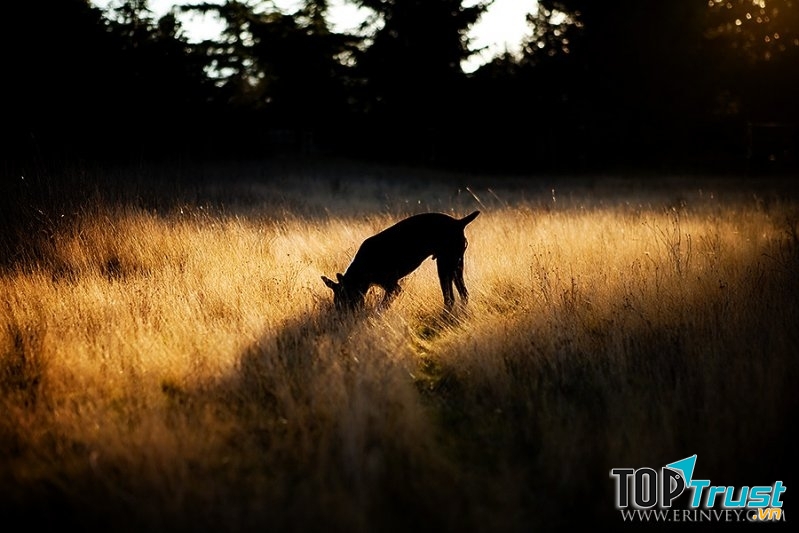 Ảnh có độ phơi sáng cao