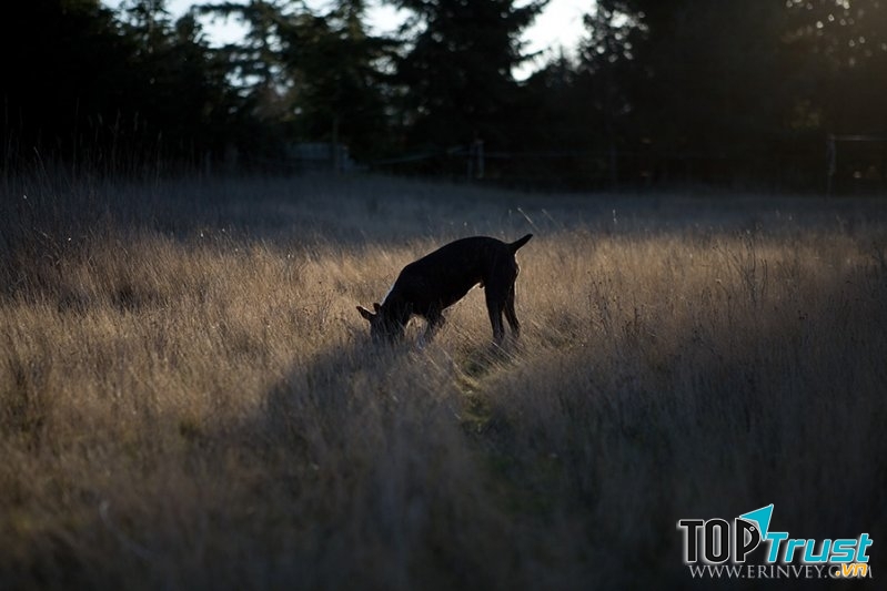 Sau khi chỉnh sửa