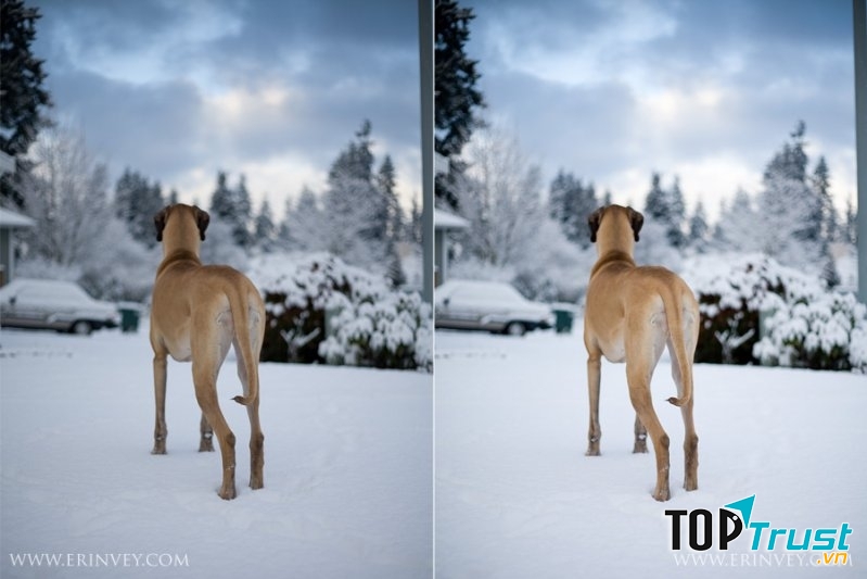 Dễ dàng tùy chính cân bằng trắng với ảnh RAW