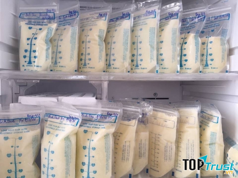 Vắt sữa trữ đông dùng ăn dặm