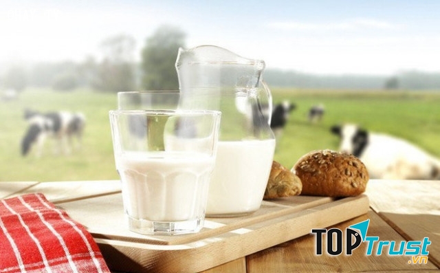 Để sữa dưới ánh nắng