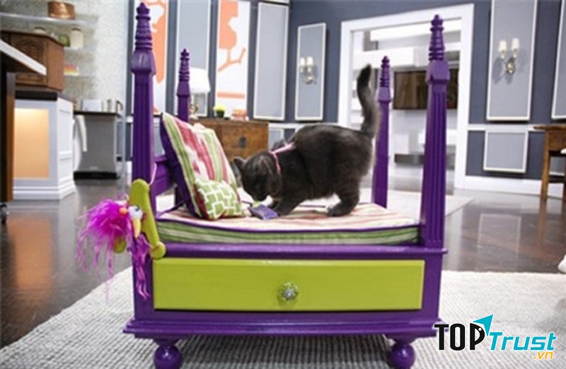 Không để thú cưng gần giường ngủ