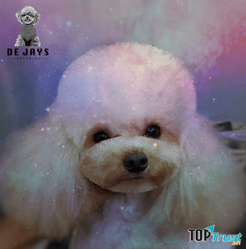 Dejay's Grooming