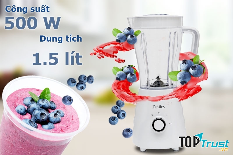 Máy xay sinh tố Delites STO01
