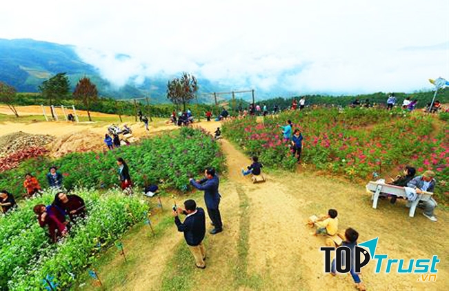 Điểm dừng chân trên đỉnh đèo Pha Đin