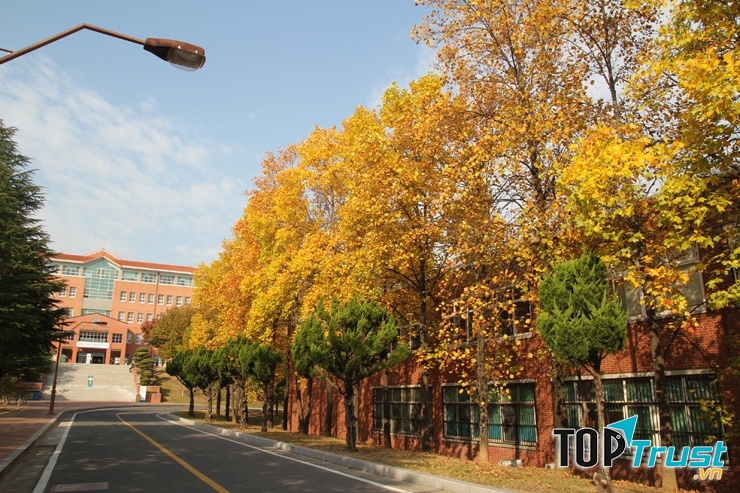 ĐH Keimyung - Hàn Quốc