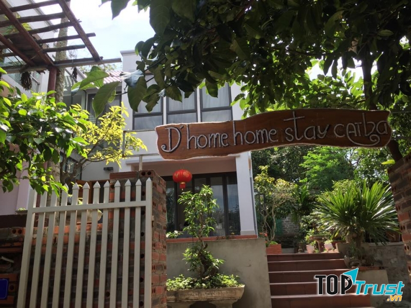 D'home Homestay Cát Bà