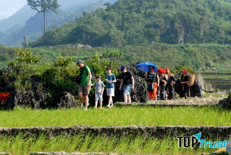 Đi bộ khám phá các bản làng dân tộc ở vùng cao Sapa