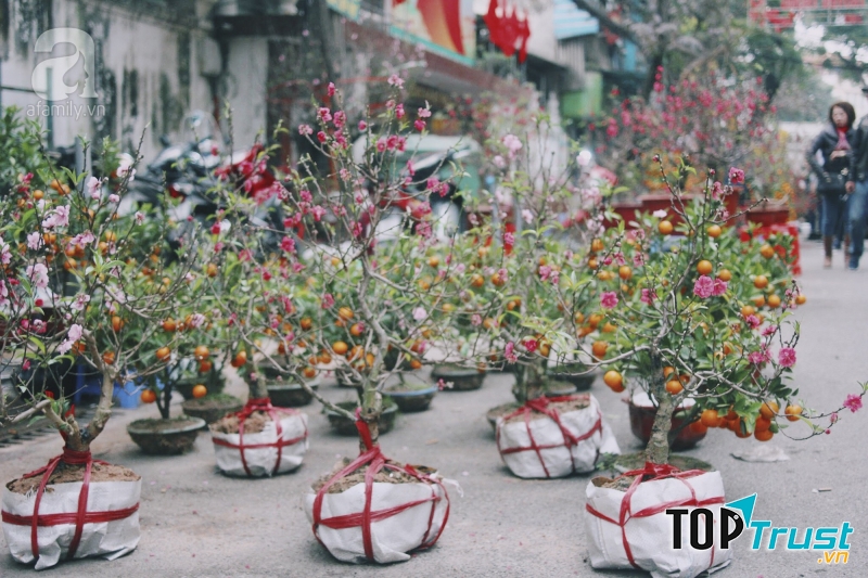 Ảnh minh họa (nguồn internet)