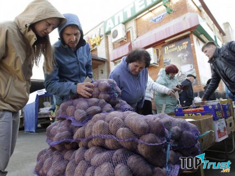 Chợ rau quả cuối tuần ở Ai Cập (Nguồn: Sưu tầm)