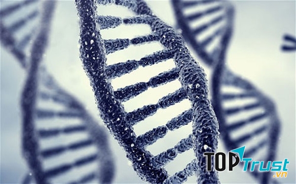 Nếu trong gia đình có người bị ung thư cổ tử cung bạn sẽ dễ bị bệnh hơn