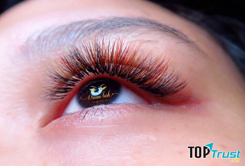 Địa chỉ dạy nghề nối mi Dream Lash
