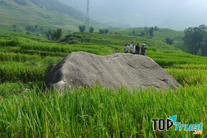 Thung lũng Mường Hoa - Bãi đá cổ