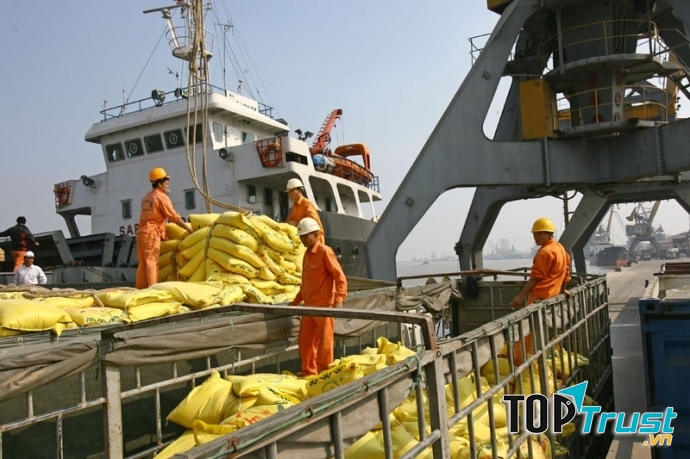 Dịch vụ bốc xếp hàng hóa Rồng Việt