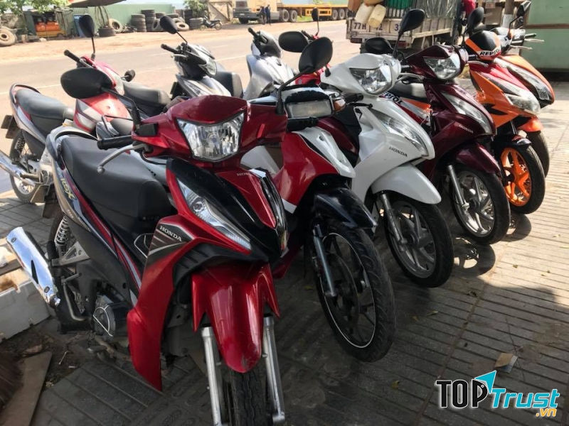 Xe cho thuê - Hoa Muống Biển