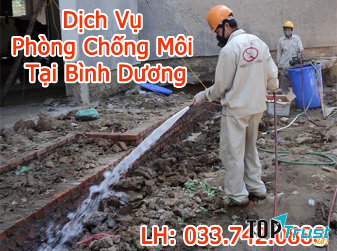 Dịch Vụ Diệt Mối Tại Bình Dương - CTY Minh Long