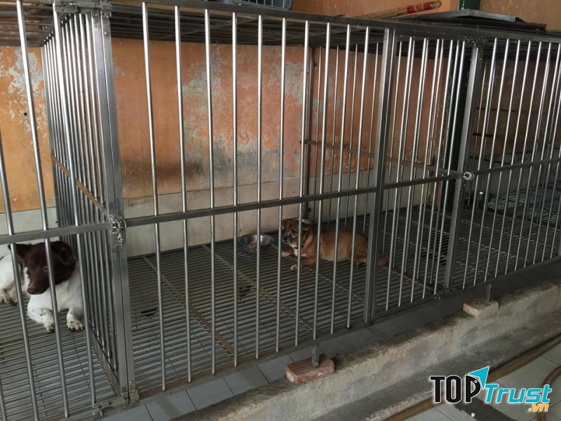 Phuong Anh Petmart - Chuyên cung cấp sản phẩm, dịch vụ dành cho thú cưng