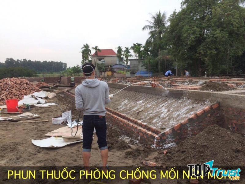 Dịch vụ kiểm soát côn trùng Urentek Việt Nam