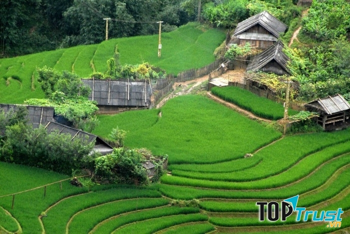 Bản Cát Cát