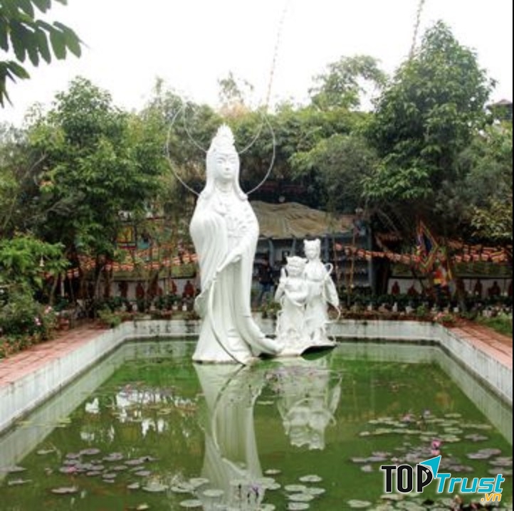 Quang cảnh tại nghĩa trang thú cưng - Bảo Sinh viên