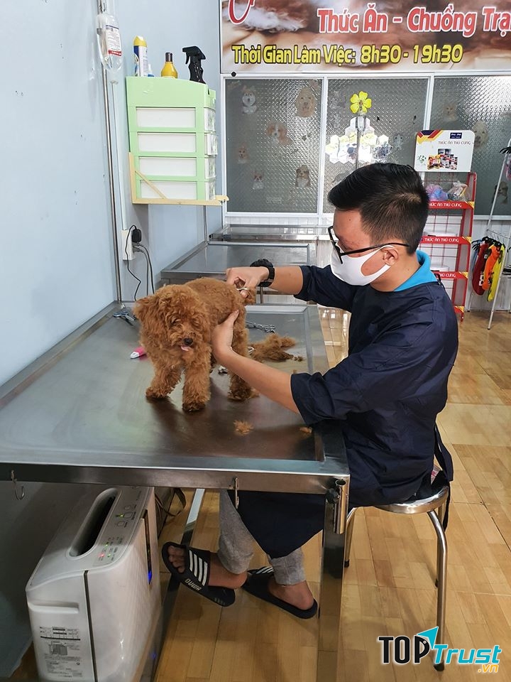 Cắt tỉa lông cho thú cưng