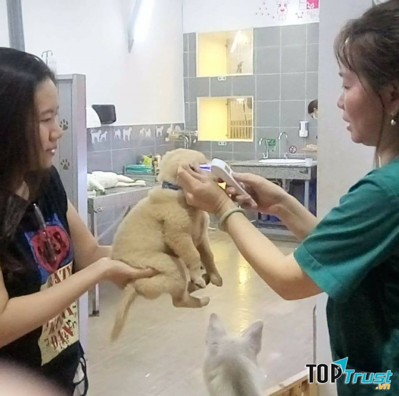 Dịch Vụ Thú Y Ngọc Thảo