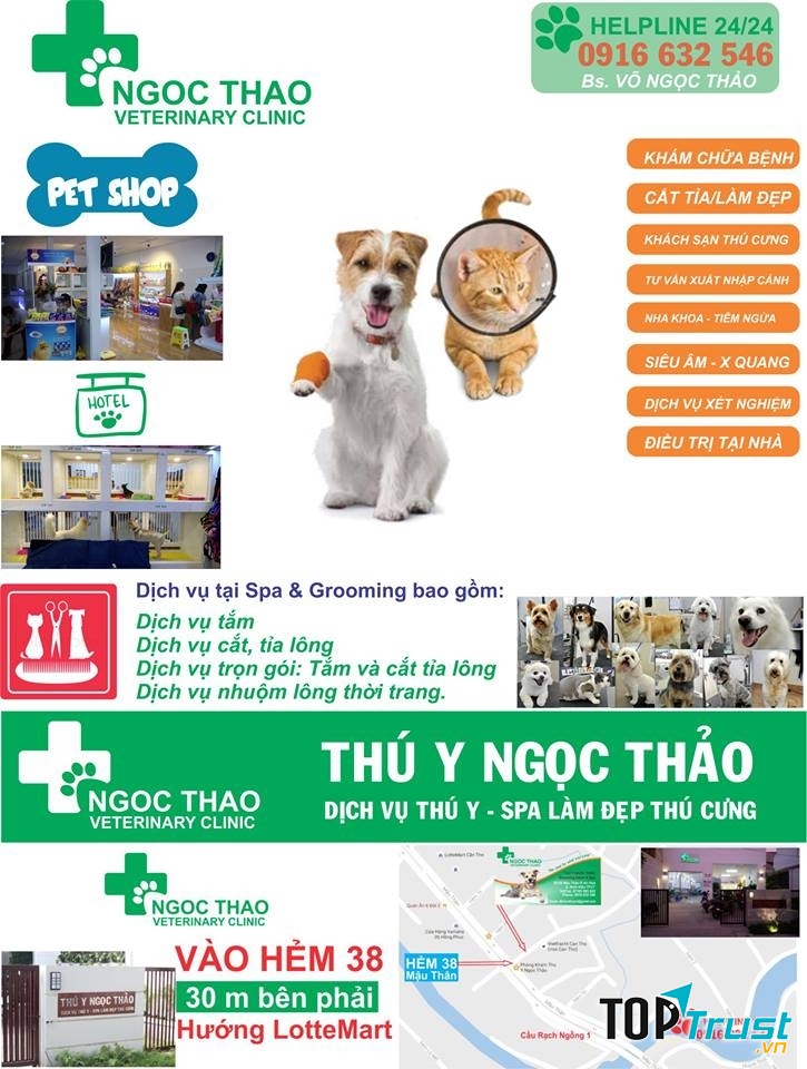 Dịch Vụ Thú Y Ngọc Thảo
