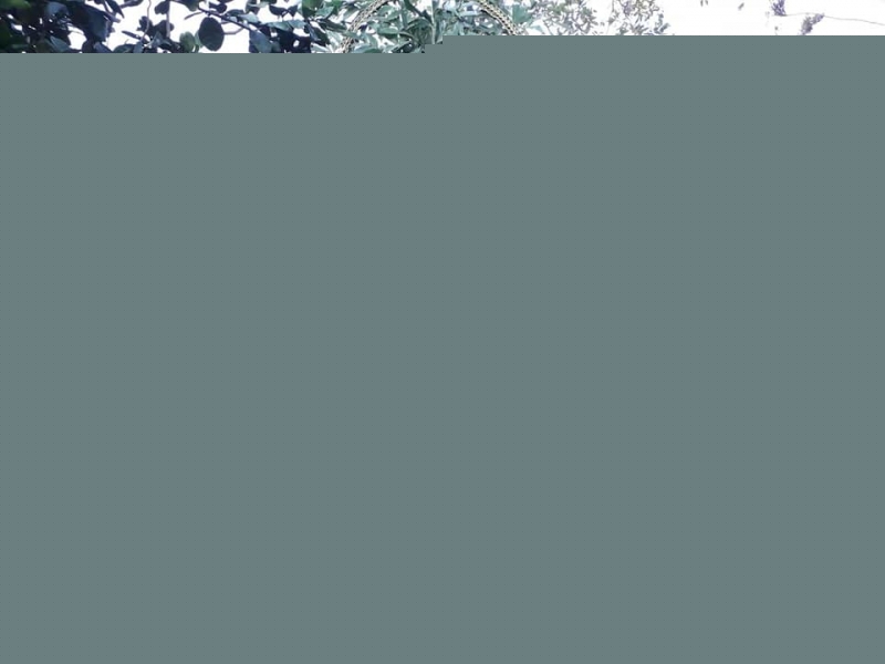 Dịch vụ trang trí cổng cưới Alo Tui