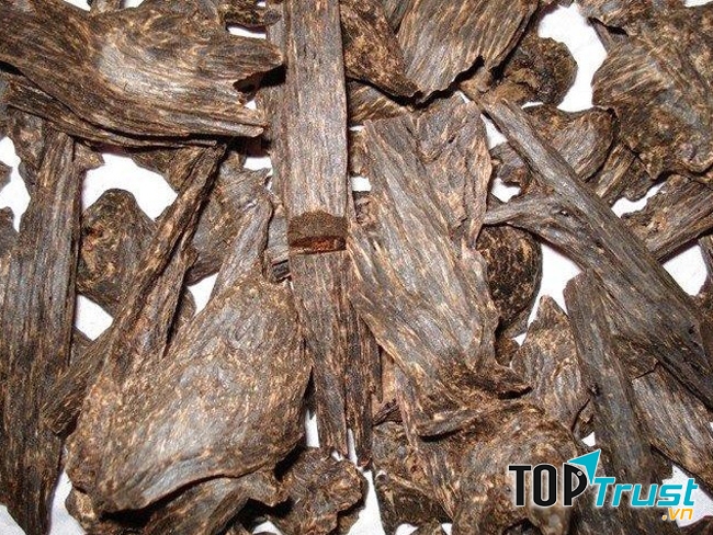 Trầm hương có nguồn gốc từ thiên nhiên