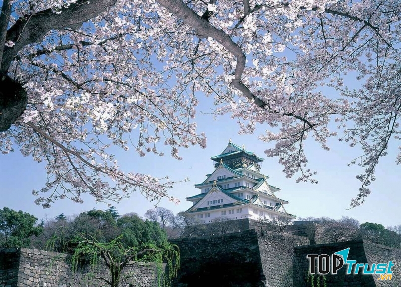 Tòa thảnh Osaka cổ kính
