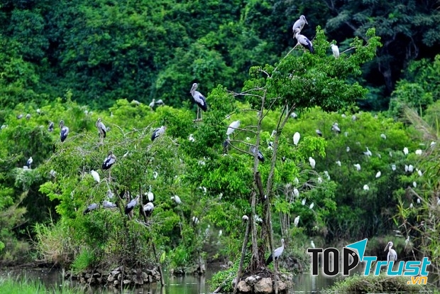 Khu du lịch sinh thái Tân Long nổi tiếng khắp cả nước bởi sự hiện diện của hàng nghìn giống chim như giống Cò, Vạc, Còng cọc,..