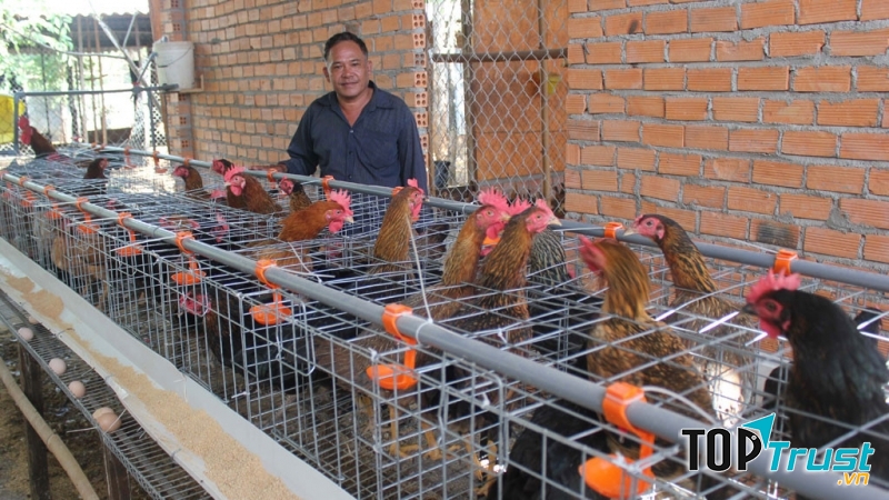 Diễn đàn trao đổi các vấn đề nông nghiệp: http://agriviet.com