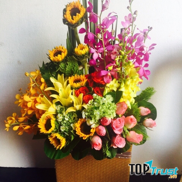 Điện hoa tại Quảng Ninh